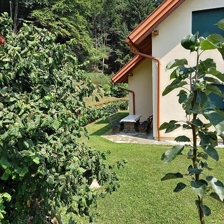 Ferienhaus Manuela Velden am Wörther See Extérieur photo